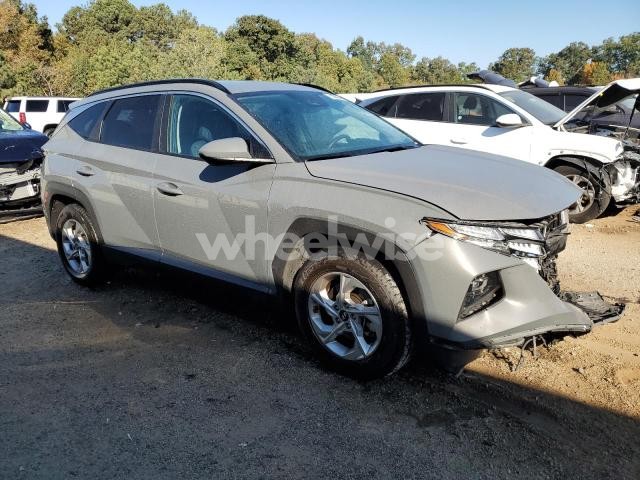 Photo 6 of 2024 HYUNDAI TUCSON SEL (VIN 5NMJB3DE7RH391439)