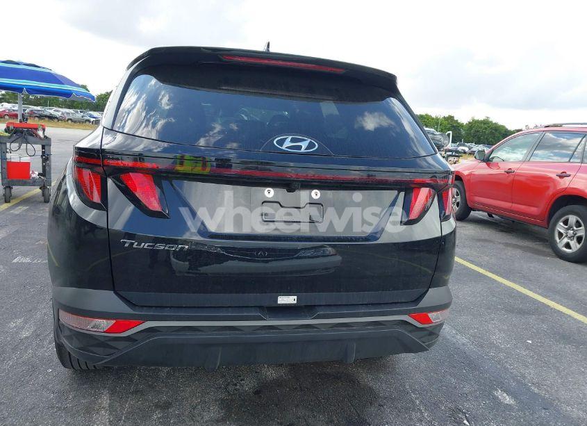 Photo 16 of 2024 Hyundai Tucson SEL (VIN 5NMJB3DE7RH403217)