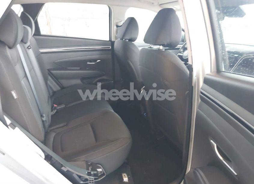 Photo 8 of 2024 Hyundai Tucson SEL (VIN 5NMJB3DE7RH428750)
