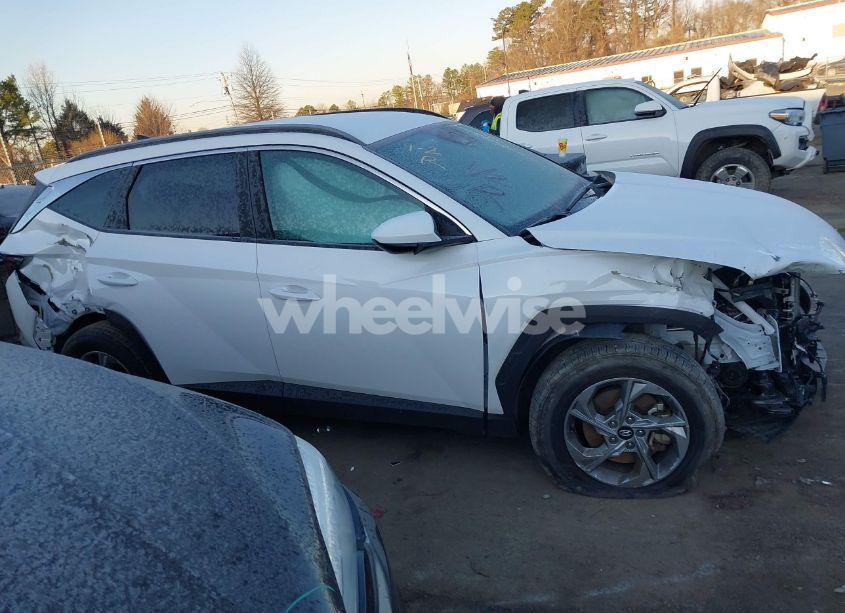 Photo 13 of 2024 Hyundai Tucson SEL (VIN 5NMJB3DE8RH306849)