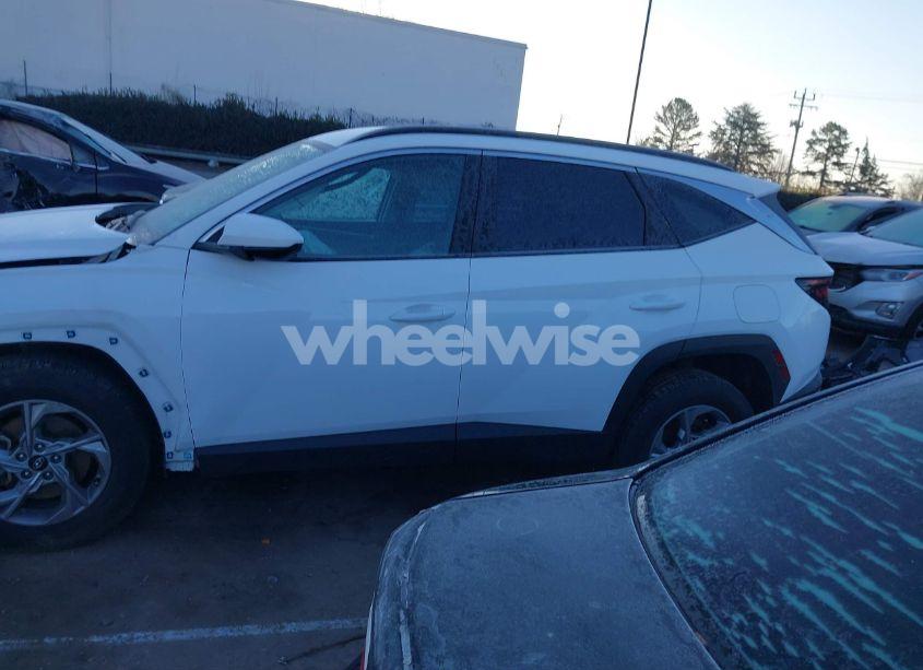 Photo 14 of 2024 Hyundai Tucson SEL (VIN 5NMJB3DE8RH306849)