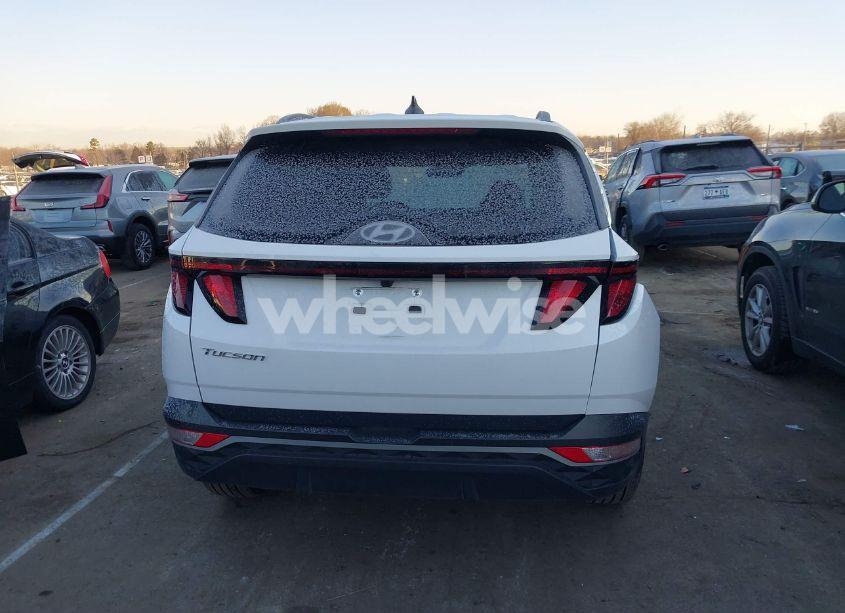 Photo 16 of 2024 Hyundai Tucson SEL (VIN 5NMJB3DE8RH306849)