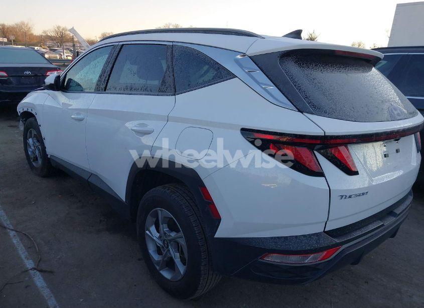 Photo 3 of 2024 Hyundai Tucson SEL (VIN 5NMJB3DE8RH306849)