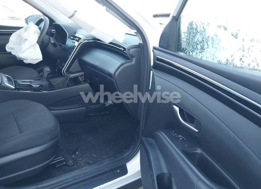 Photo 5 of 2024 Hyundai Tucson SEL (VIN 5NMJB3DE8RH306849)