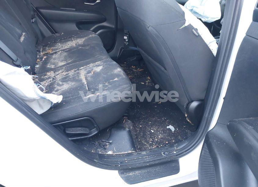 Photo 8 of 2024 Hyundai Tucson SEL (VIN 5NMJB3DE8RH306849)