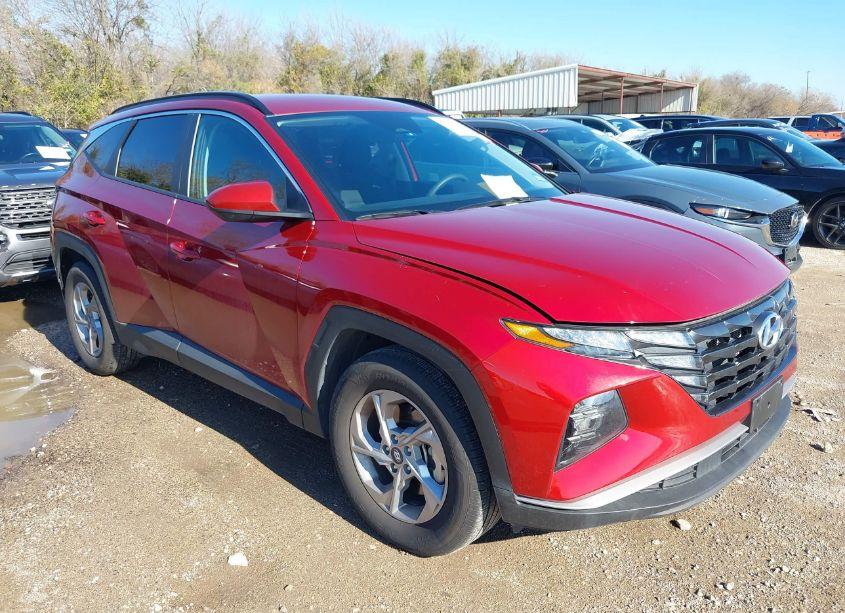 2024 Hyundai Tucson SEL (VIN 5NMJB3DE8RH408846) main photo