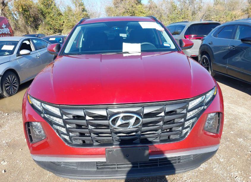 Photo 12 of 2024 Hyundai Tucson SEL (VIN 5NMJB3DE8RH408846)