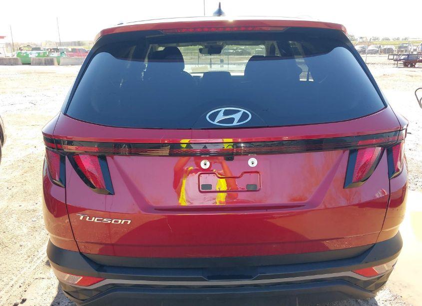 Photo 16 of 2024 Hyundai Tucson SEL (VIN 5NMJB3DE8RH408846)