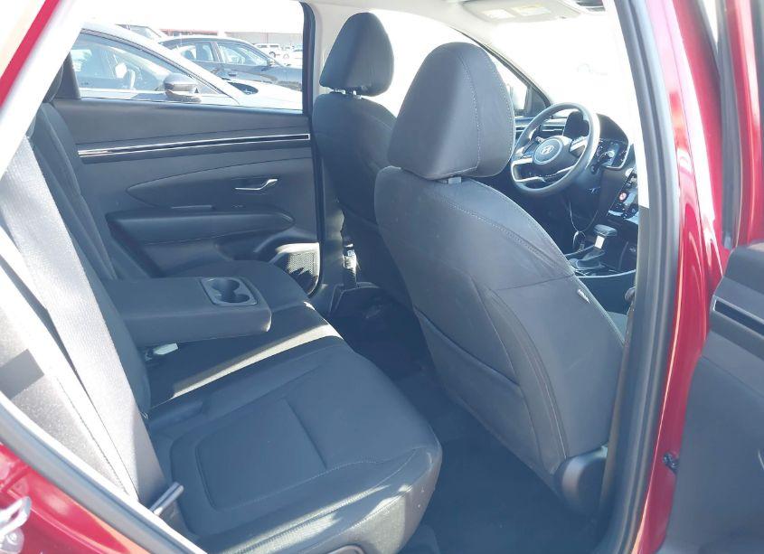 Photo 8 of 2024 Hyundai Tucson SEL (VIN 5NMJB3DE8RH408846)