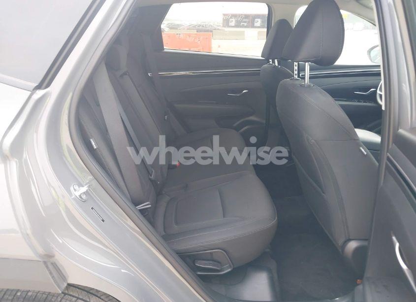 Photo 8 of 2024 Hyundai Tucson SEL (VIN 5NMJB3DE8RH411309)