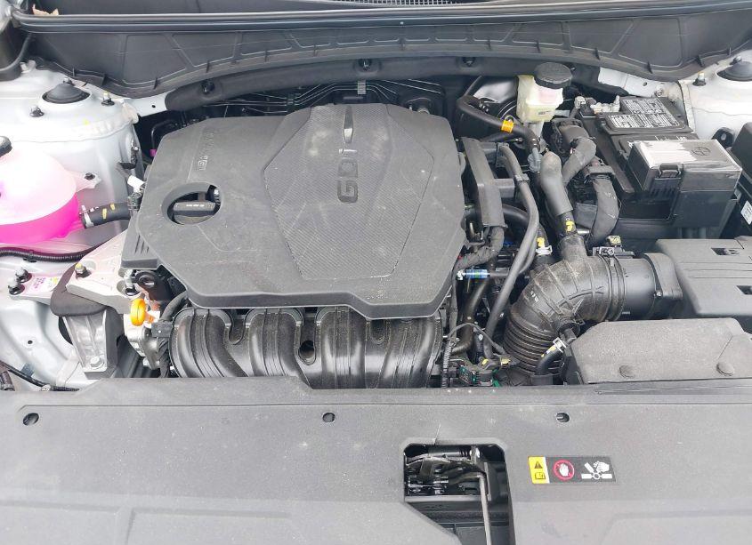 Photo 10 of 2024 Hyundai Tucson SEL (VIN 5NMJB3DE8RH428661)