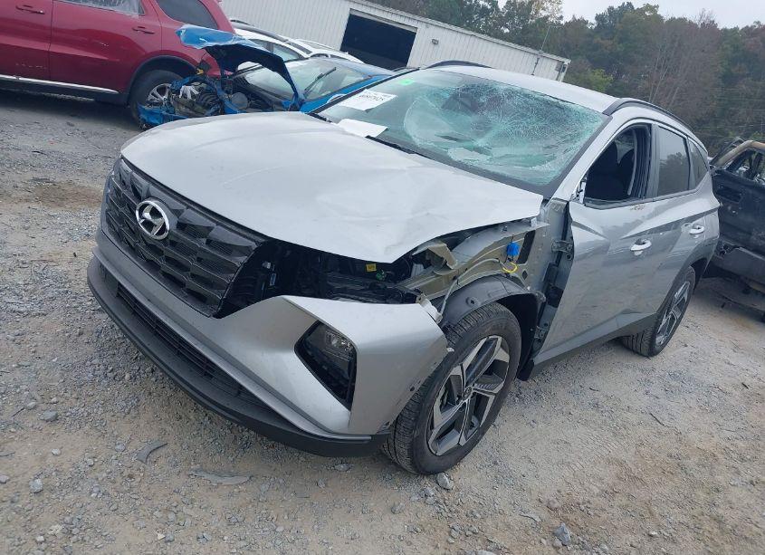 Photo 2 of 2024 Hyundai Tucson SEL (VIN 5NMJB3DE8RH428661)