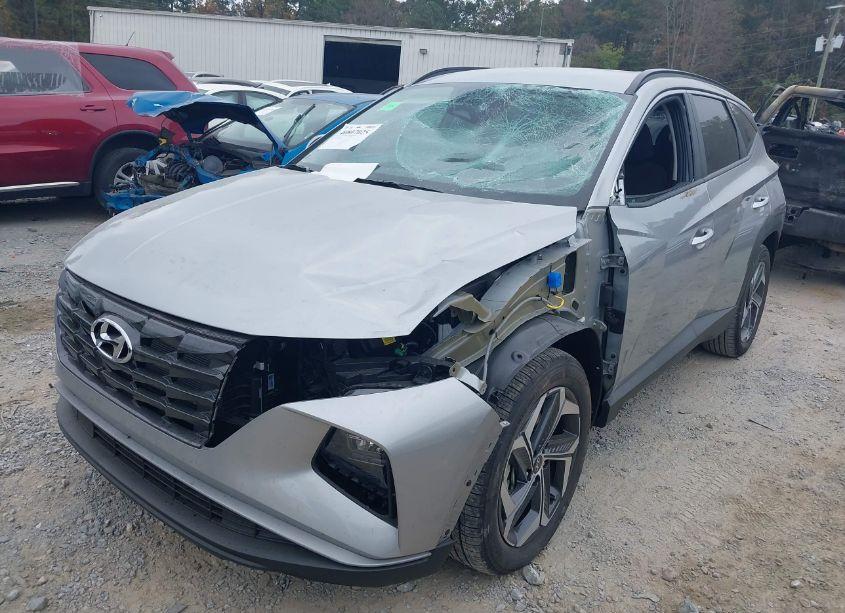 Photo 6 of 2024 Hyundai Tucson SEL (VIN 5NMJB3DE8RH428661)