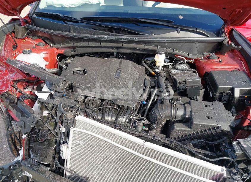 Photo 10 of 2025 Hyundai Tucson SEL (VIN 5NMJB3DE8SH447734)