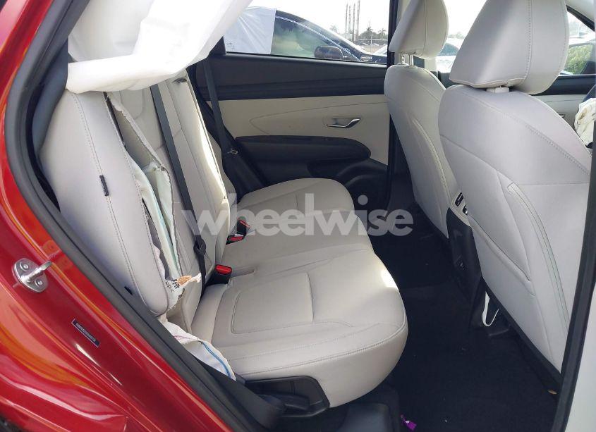 Photo 8 of 2025 Hyundai Tucson SEL (VIN 5NMJB3DE8SH447734)