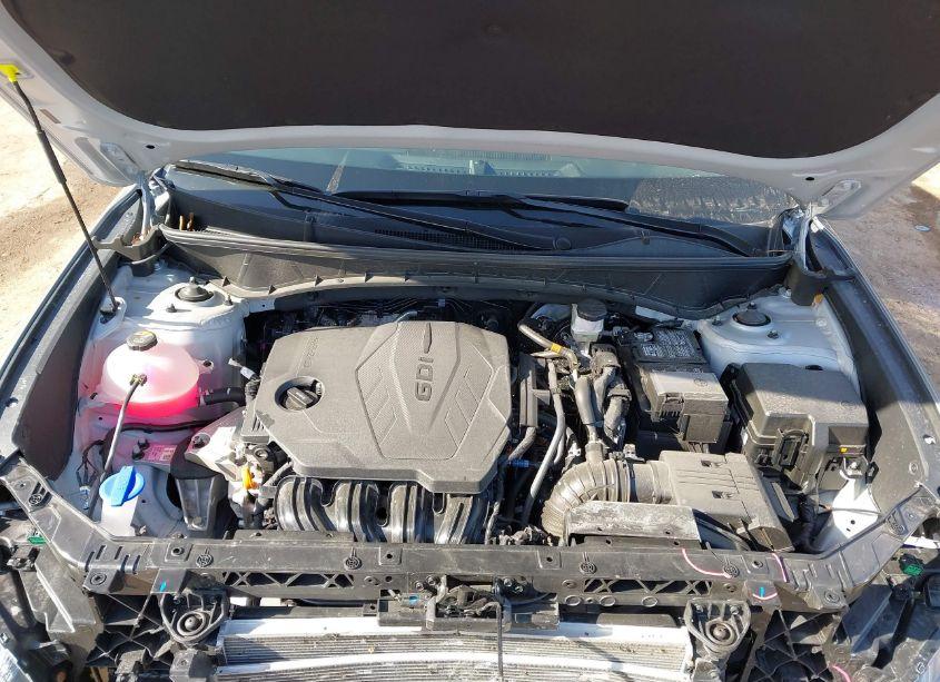 Photo 10 of 2025 Hyundai Tucson SEL (VIN 5NMJB3DE8SH460130)