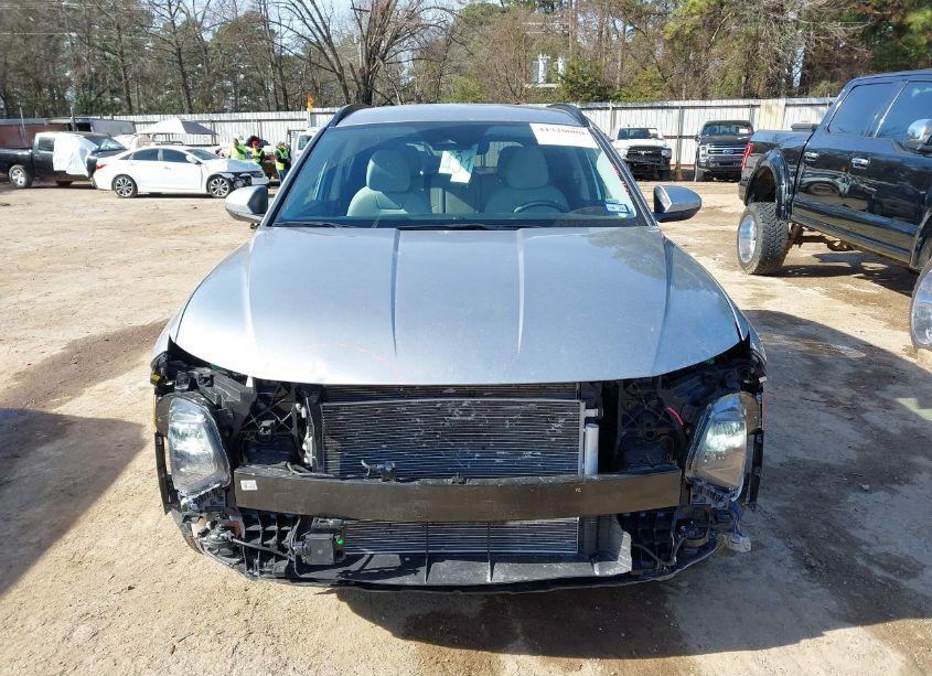 Photo 13 of 2025 Hyundai Tucson SEL (VIN 5NMJB3DE8SH460130)