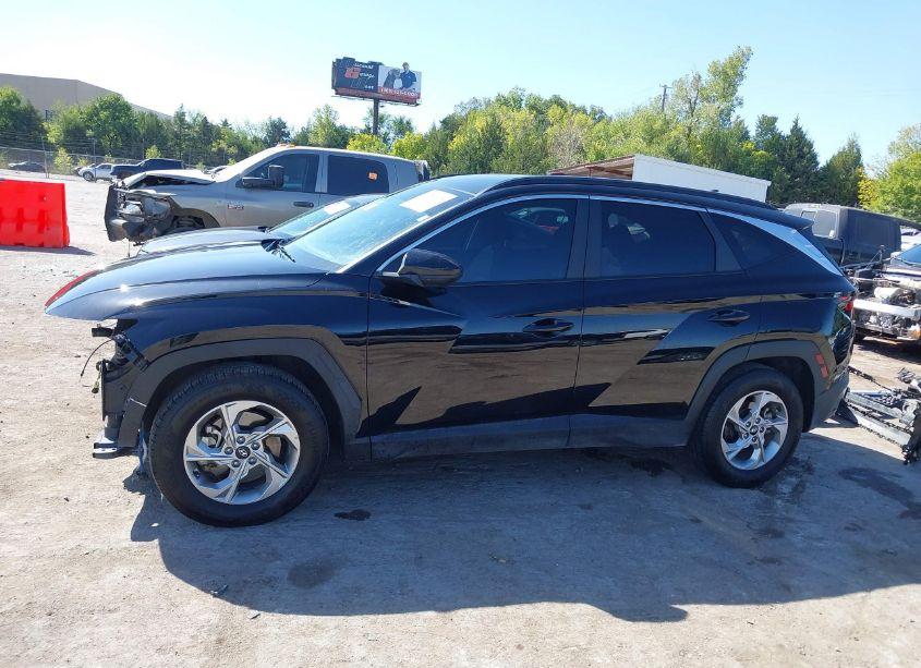 Photo 15 of 2024 Hyundai Tucson SEL (VIN 5NMJB3DE9RH312269)