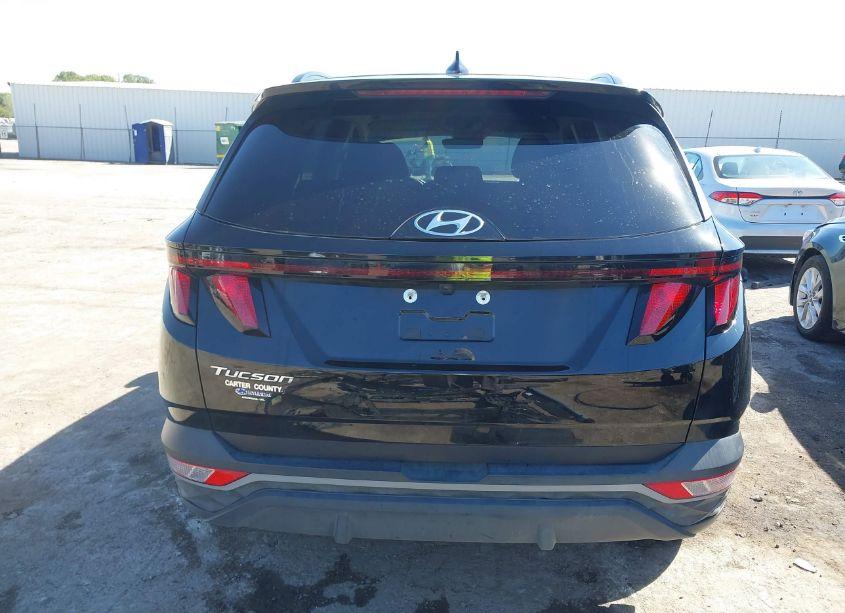Photo 17 of 2024 Hyundai Tucson SEL (VIN 5NMJB3DE9RH312269)