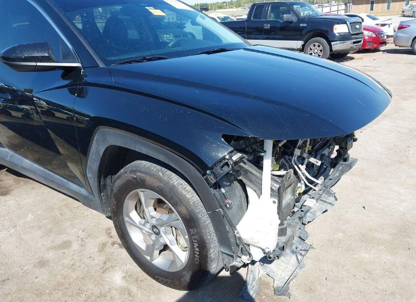 Photo 6 of 2024 Hyundai Tucson SEL (VIN 5NMJB3DE9RH312269)