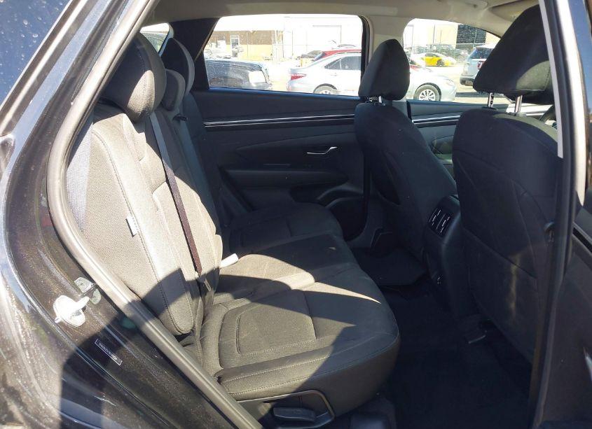Photo 8 of 2024 Hyundai Tucson SEL (VIN 5NMJB3DE9RH312269)