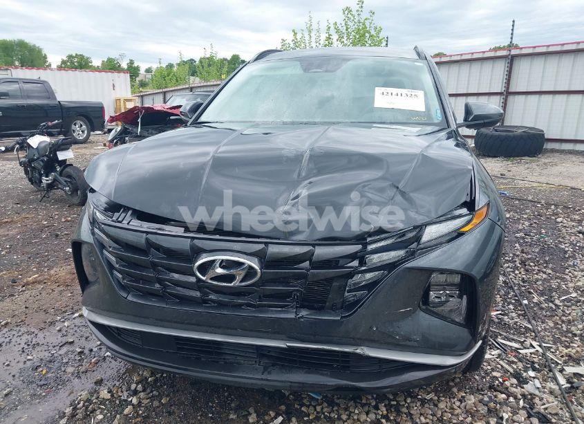 Photo 13 of 2024 Hyundai Tucson SEL (VIN 5NMJB3DE9RH320419)