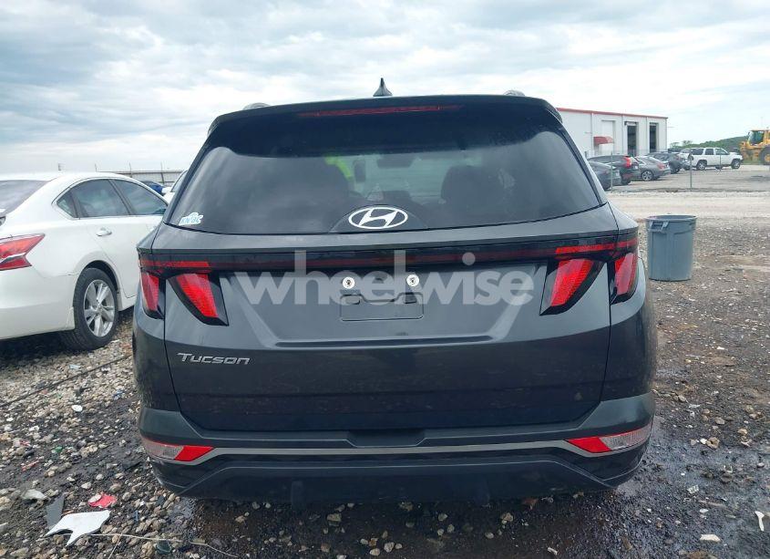 Photo 17 of 2024 Hyundai Tucson SEL (VIN 5NMJB3DE9RH320419)