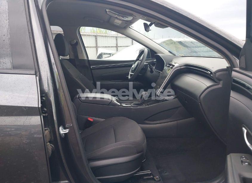 Photo 5 of 2024 Hyundai Tucson SEL (VIN 5NMJB3DE9RH320419)