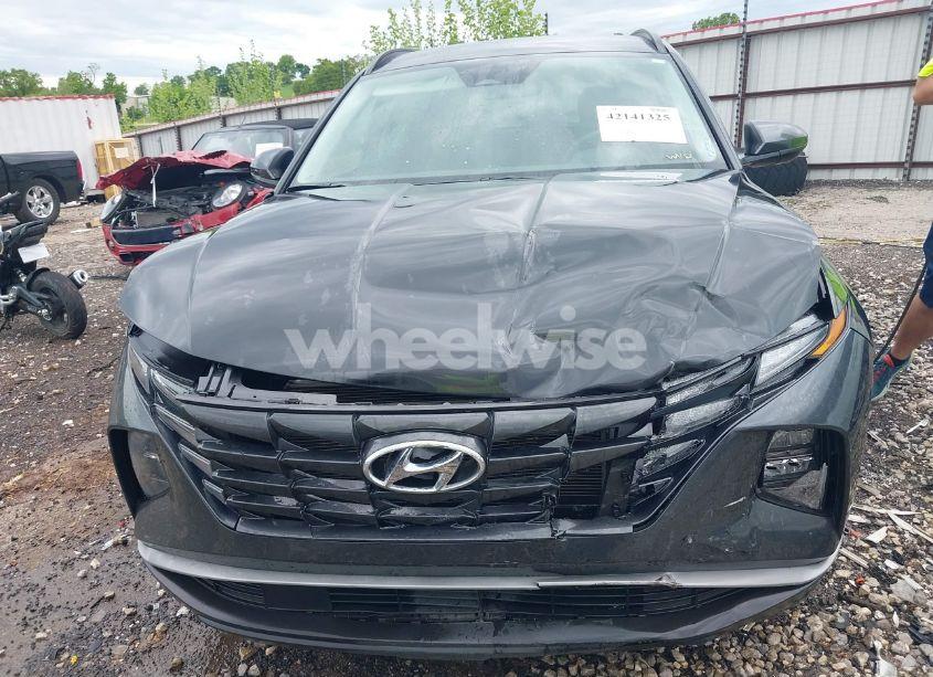 Photo 6 of 2024 Hyundai Tucson SEL (VIN 5NMJB3DE9RH320419)