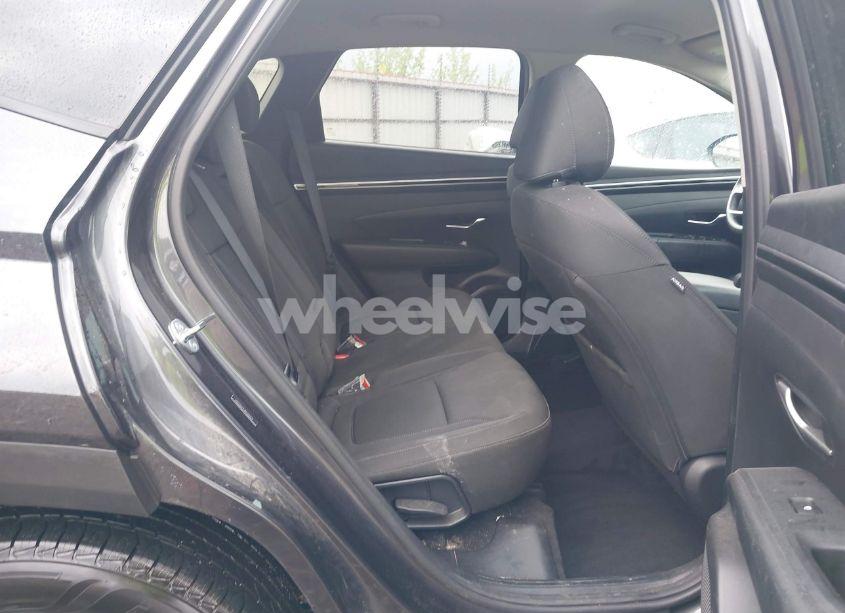 Photo 8 of 2024 Hyundai Tucson SEL (VIN 5NMJB3DE9RH320419)