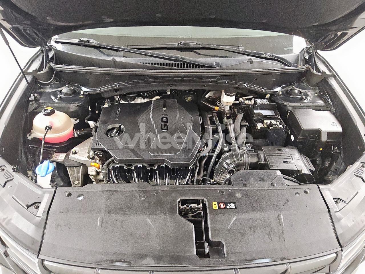 Photo 12 of 2024 HYUNDAI TUCSON SEL (VIN 5NMJB3DE9RH330173)