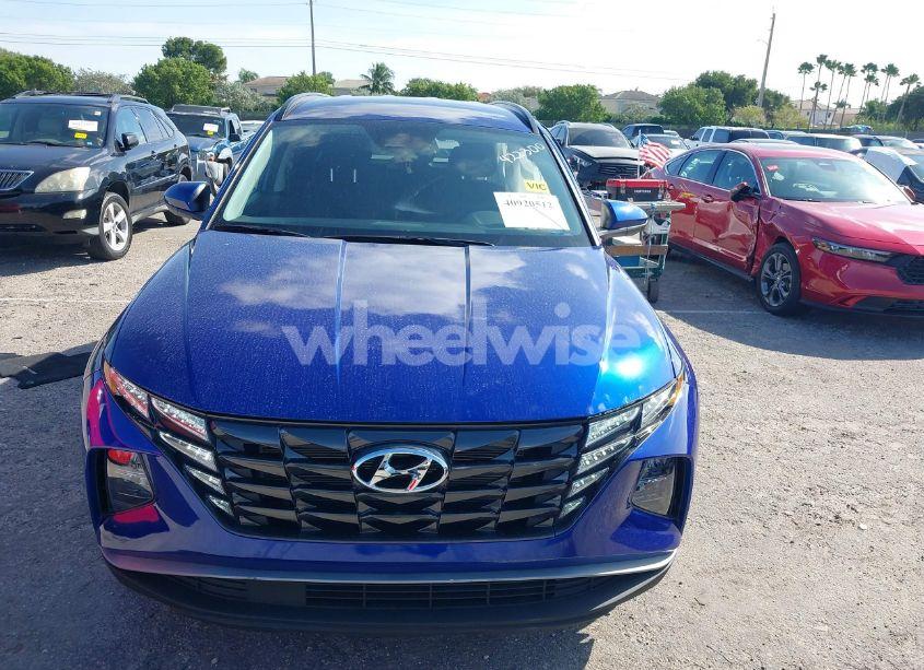 Photo 11 of 2024 Hyundai Tucson SEL (VIN 5NMJB3DE9RH332344)
