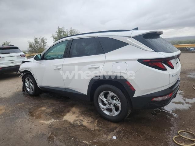 2024 HYUNDAI TUCSON SEL (VIN 5NMJB3DE9RH427566) main photo
