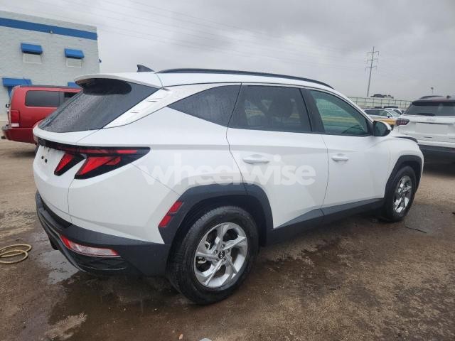 Photo 10 of 2024 HYUNDAI TUCSON SEL (VIN 5NMJB3DE9RH427566)