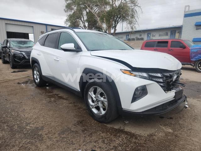 Photo 12 of 2024 HYUNDAI TUCSON SEL (VIN 5NMJB3DE9RH427566)