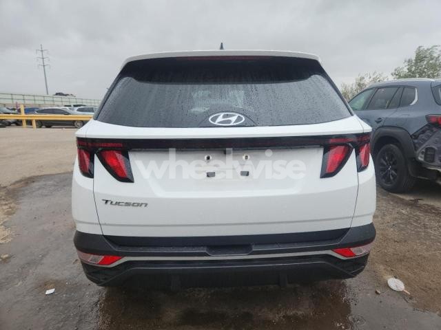 Photo 6 of 2024 HYUNDAI TUCSON SEL (VIN 5NMJB3DE9RH427566)