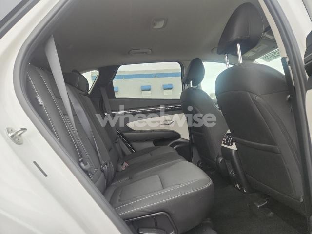 Photo 8 of 2024 HYUNDAI TUCSON SEL (VIN 5NMJB3DE9RH427566)