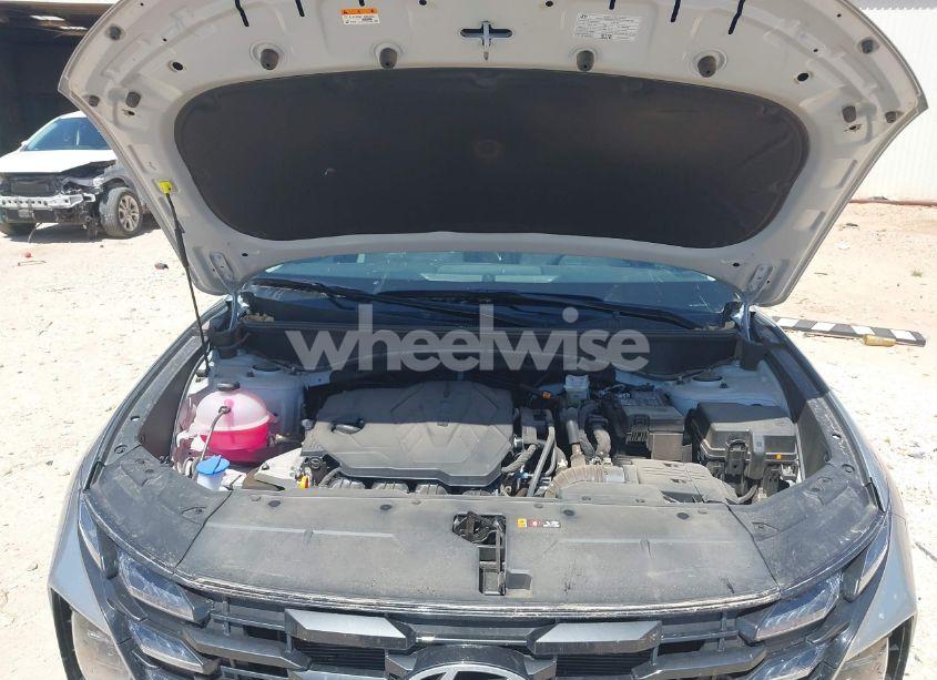 Photo 10 of 2025 Hyundai Tucson SEL (VIN 5NMJB3DE9SH472805)