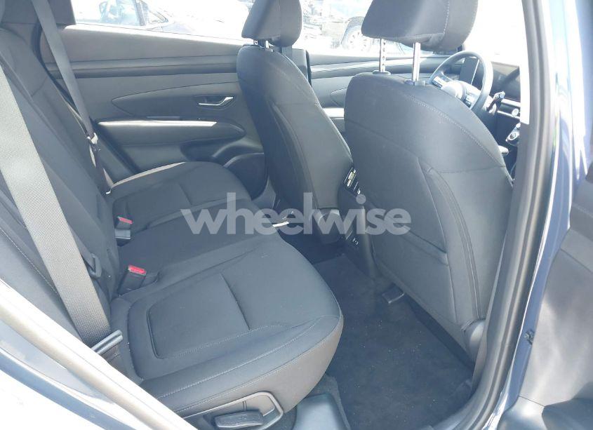 Photo 8 of 2025 Hyundai Tucson SEL (VIN 5NMJB3DE9SH481942)