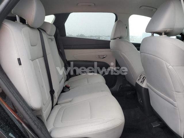 Photo 9 of 2025 HYUNDAI TUCSON SEL (VIN 5NMJB3DE9SH491001)