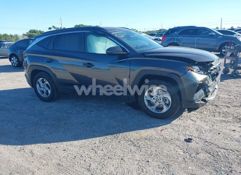 2024 Hyundai Tucson SEL (VIN 5NMJB3DEXRH315147) main photo