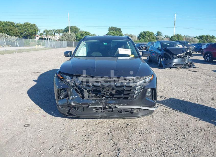 Photo 12 of 2024 Hyundai Tucson SEL (VIN 5NMJB3DEXRH315147)
