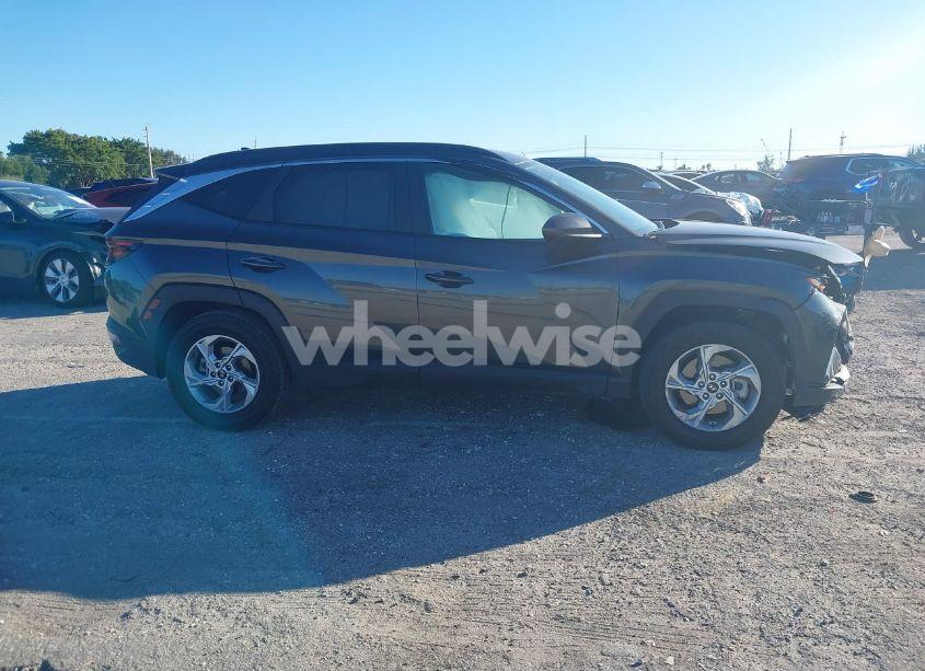 Photo 13 of 2024 Hyundai Tucson SEL (VIN 5NMJB3DEXRH315147)