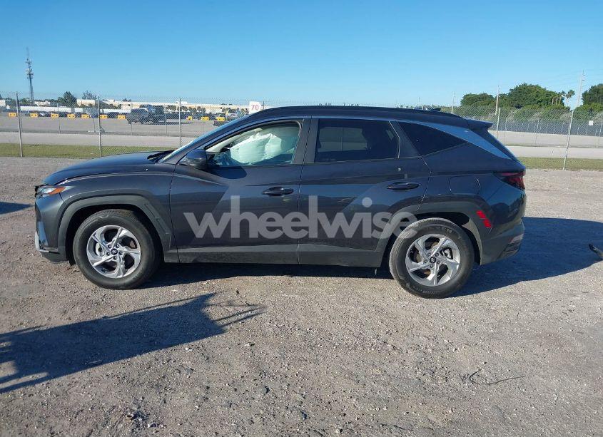 Photo 14 of 2024 Hyundai Tucson SEL (VIN 5NMJB3DEXRH315147)