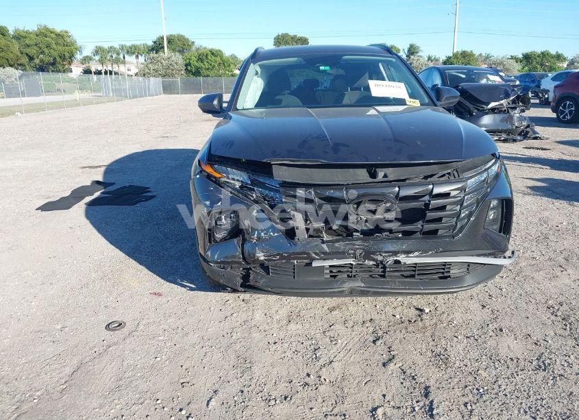 Photo 6 of 2024 Hyundai Tucson SEL (VIN 5NMJB3DEXRH315147)