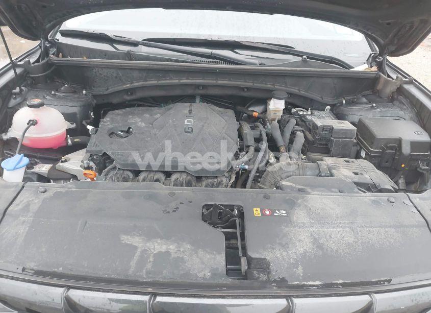 Photo 10 of 2024 Hyundai Tucson SEL (VIN 5NMJB3DEXRH317304)
