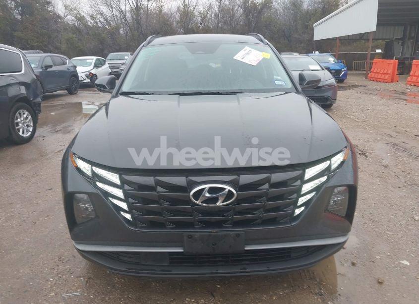 Photo 12 of 2024 Hyundai Tucson SEL (VIN 5NMJB3DEXRH317304)