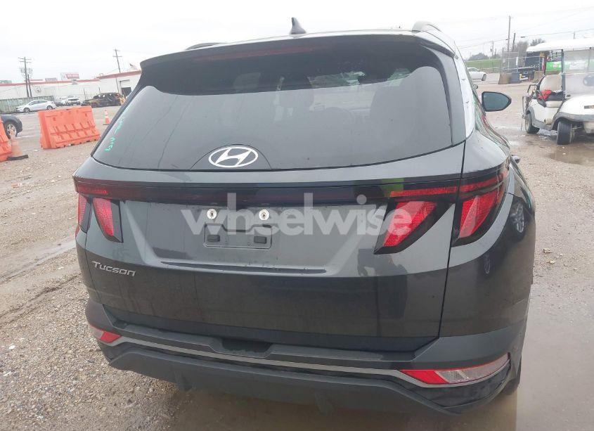 Photo 16 of 2024 Hyundai Tucson SEL (VIN 5NMJB3DEXRH317304)