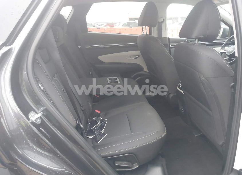 Photo 8 of 2024 Hyundai Tucson SEL (VIN 5NMJB3DEXRH317304)