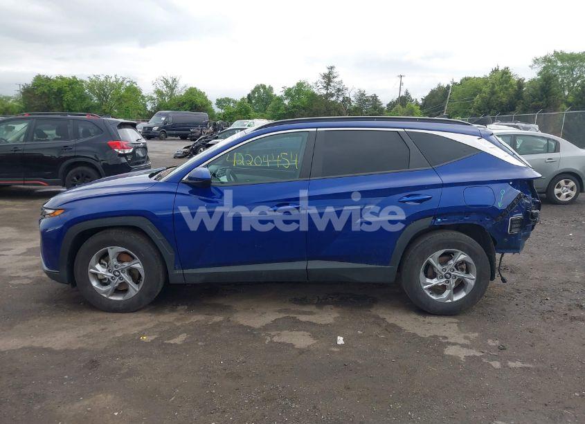Photo 15 of 2024 Hyundai Tucson SEL (VIN 5NMJB3DEXRH337326)